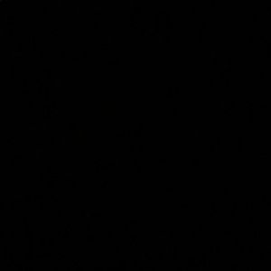 Meet your Posher, Jackson